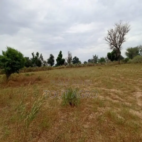 Terrain De 9 012 M2 Vers Tassette