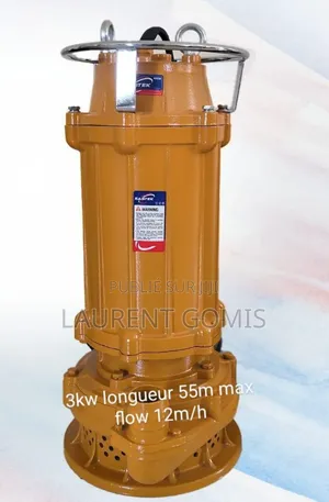 Pompe Eau Chargée WQX