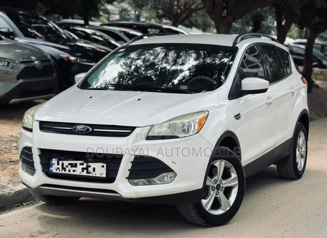 Ford Escape SEL 2013