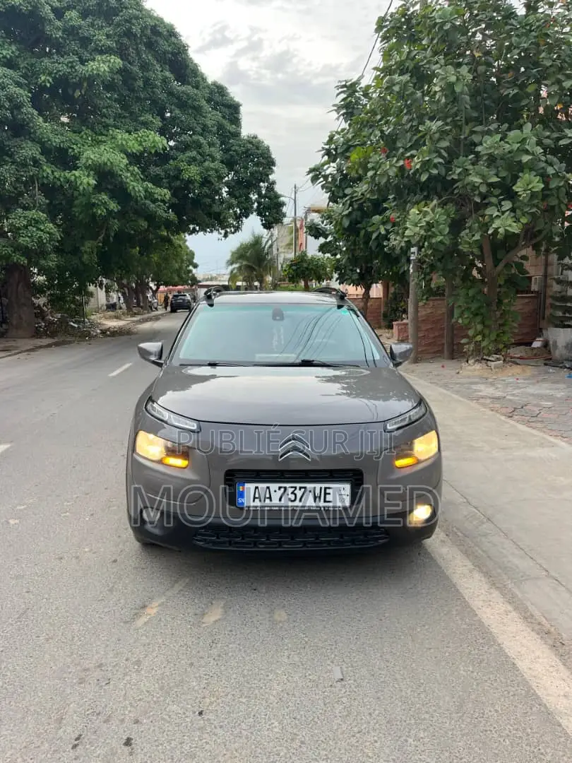 Citroen C4 2018 Gris