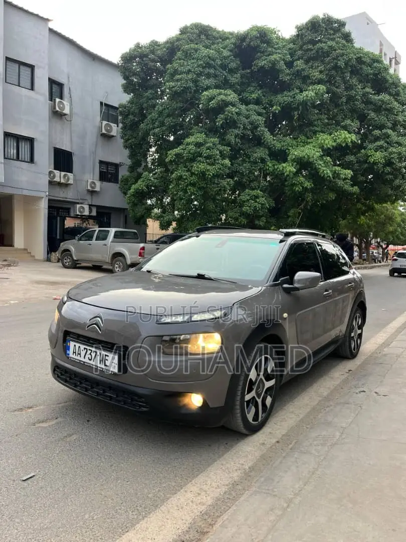 Citroen C4 2018 Gris