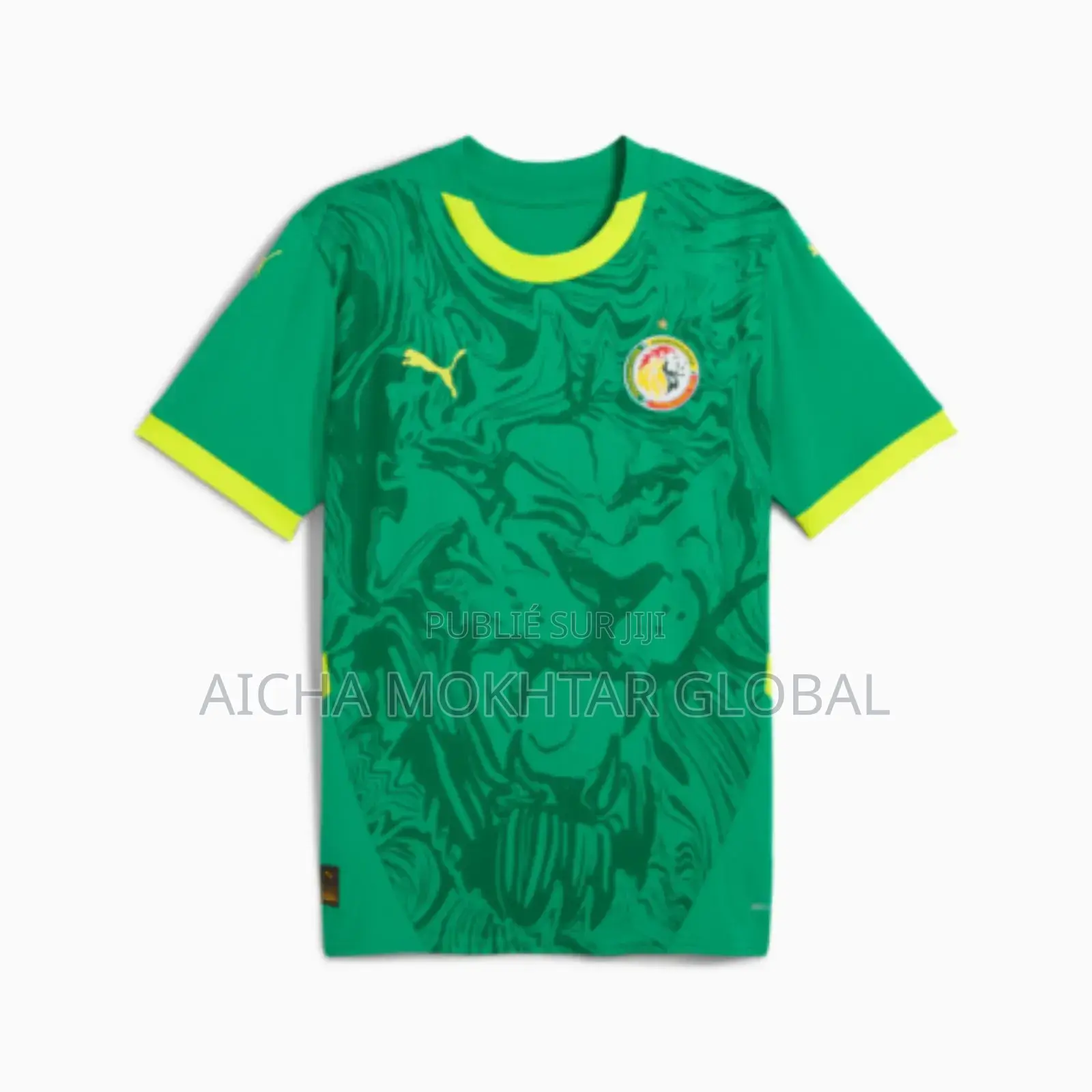 Maillot Sénégal Vert Blanc