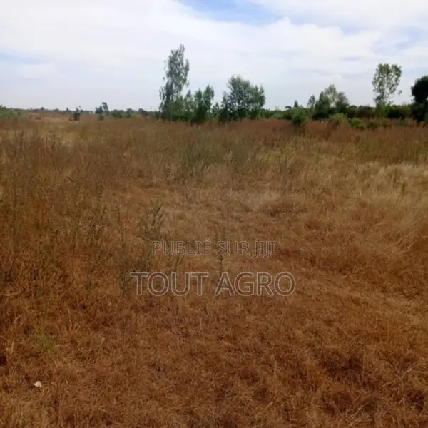 Terrain De 2,01 Hectares Vers Notto Diobass