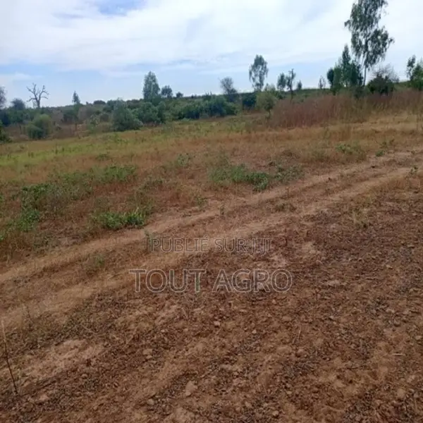Terrain De 2,01 Hectares Vers Notto Diobass