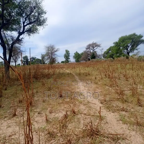 Terrain De 3,08 Hectares Vers Tassette