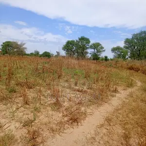 Terrain De 3,08 Hectares Vers Tassette