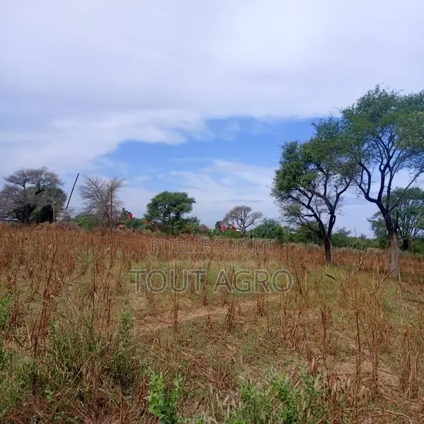 Terrain De 3,08 Hectares Vers Tassette