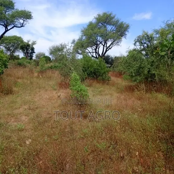 Terrain De 9 686 M2 Vers Tassette