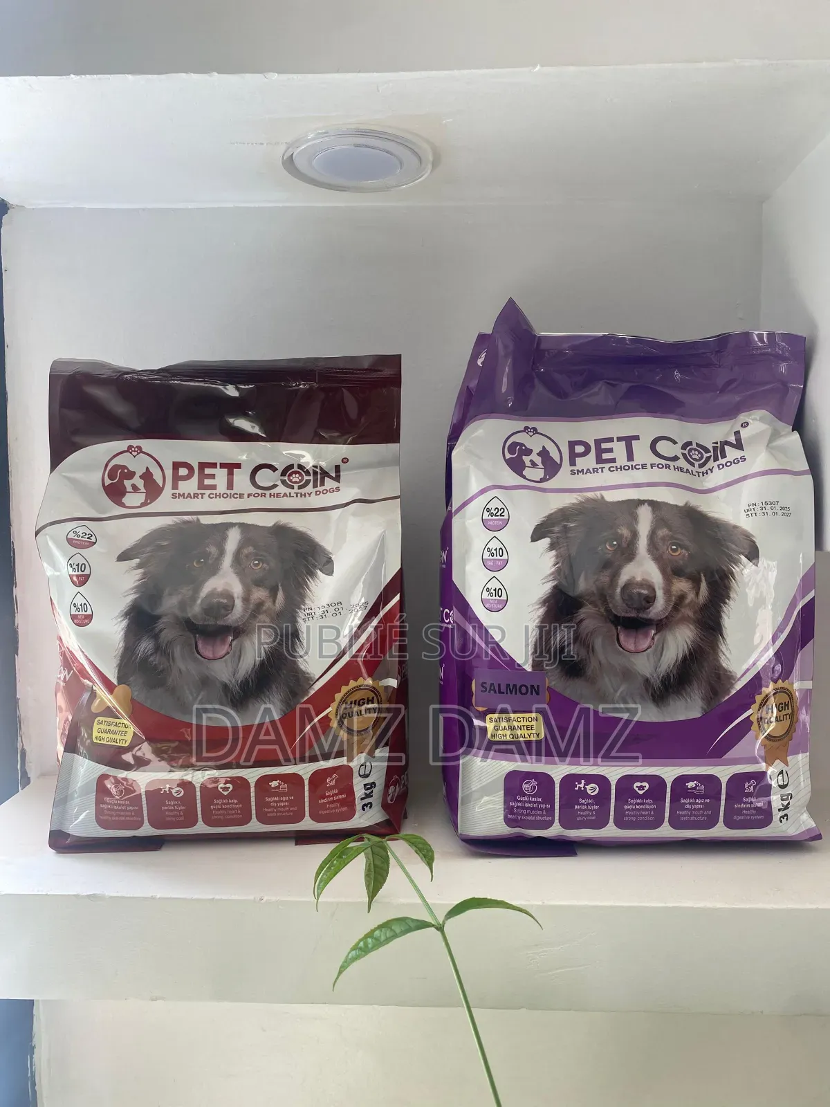 Croquettes Pour Chien