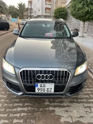 Photo - Audi Q5 2014 Gris