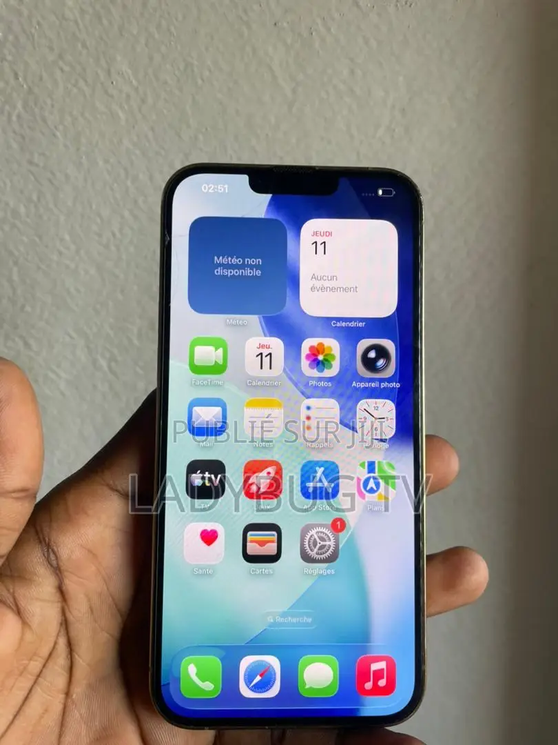 New Apple iPhone 13 Pro Max 128 GB Doré