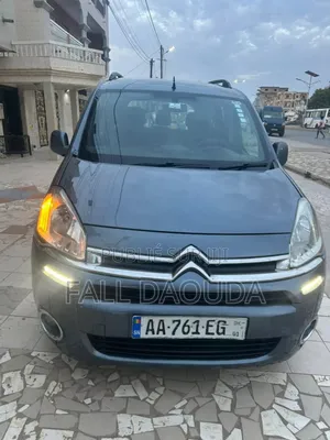 Photo - Citroen Berlingo 2013 Gris