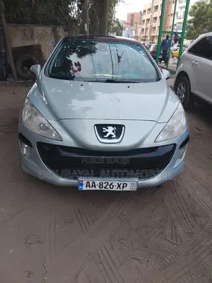 Photo - Peugeot 308 2010 Gris