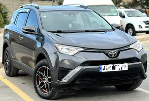 Toyota RAV4 2018 Gris