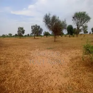 Photo - Terrain De 4,28 Hectares Vers Sagatta