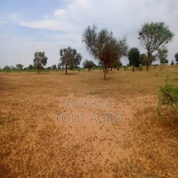 Terrain De 4,28 Hectares Vers Sagatta