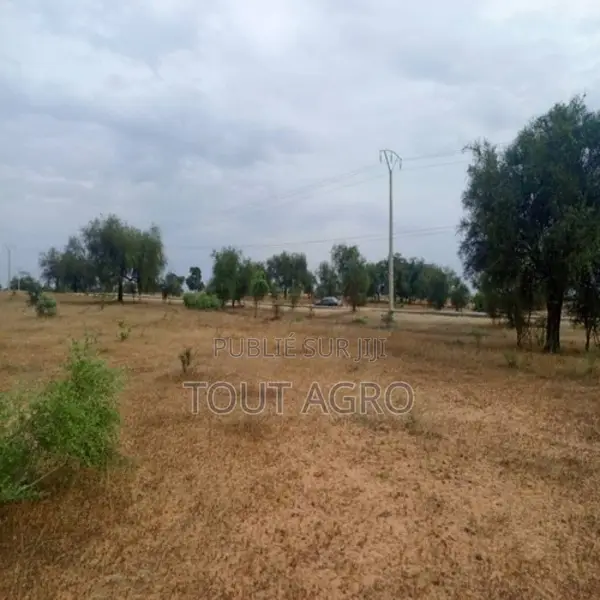 Terrain De 4,28 Hectares Vers Sagatta
