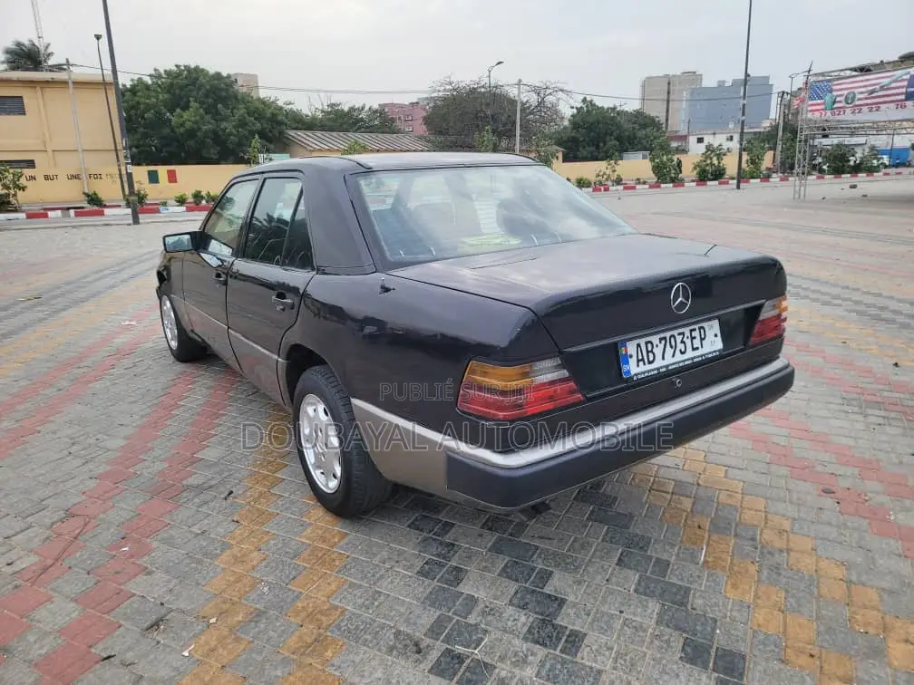Mercedes-Benz 300E 2008