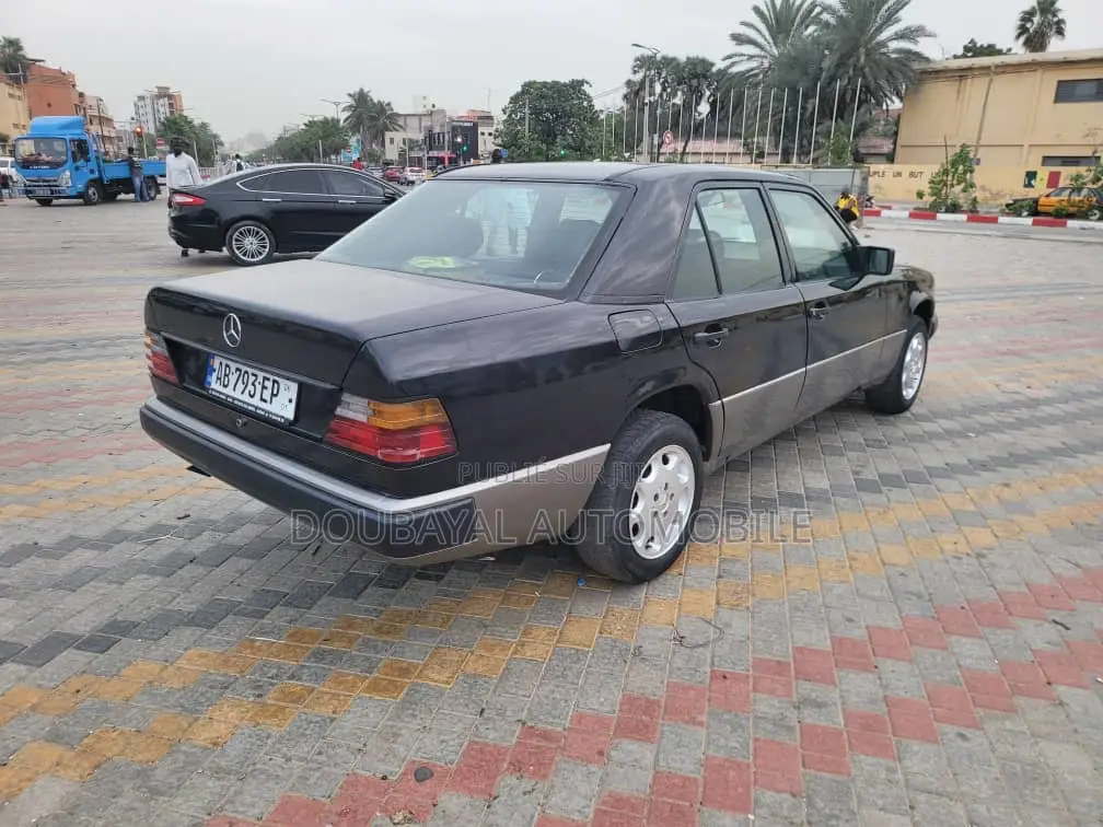Mercedes-Benz 300E 2008
