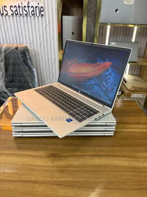 New Ordinateur Portable HP ProBook 450 G8 16GB Intel Core I7 SSD 512GB