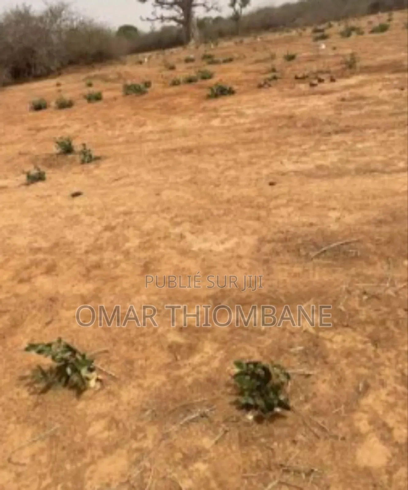 Avendre À Des Prix Abordable Terrain De 225m2 Dans Un Zone Touristique