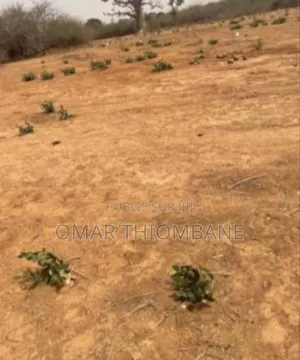 Photo - Avendre À Des Prix Abordable Terrain De 225m2 Dans Un Zone Touristique