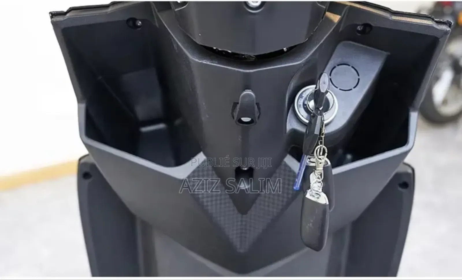 New Tailg Warrior 2025 Gris