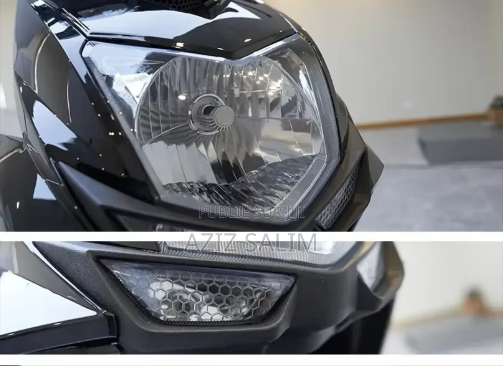 New Tailg Warrior 2025 Gris