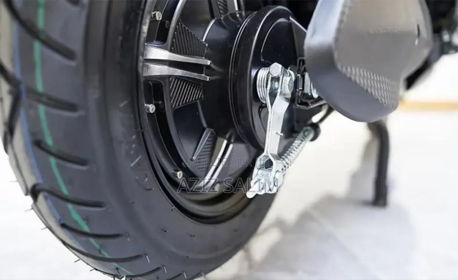 New Tailg Warrior 2025 Gris