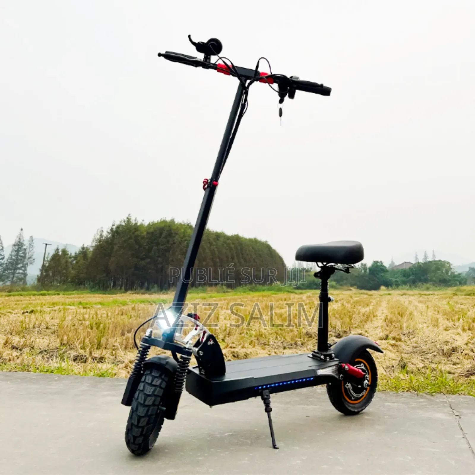 Trottinette Electrique E-Mat Go