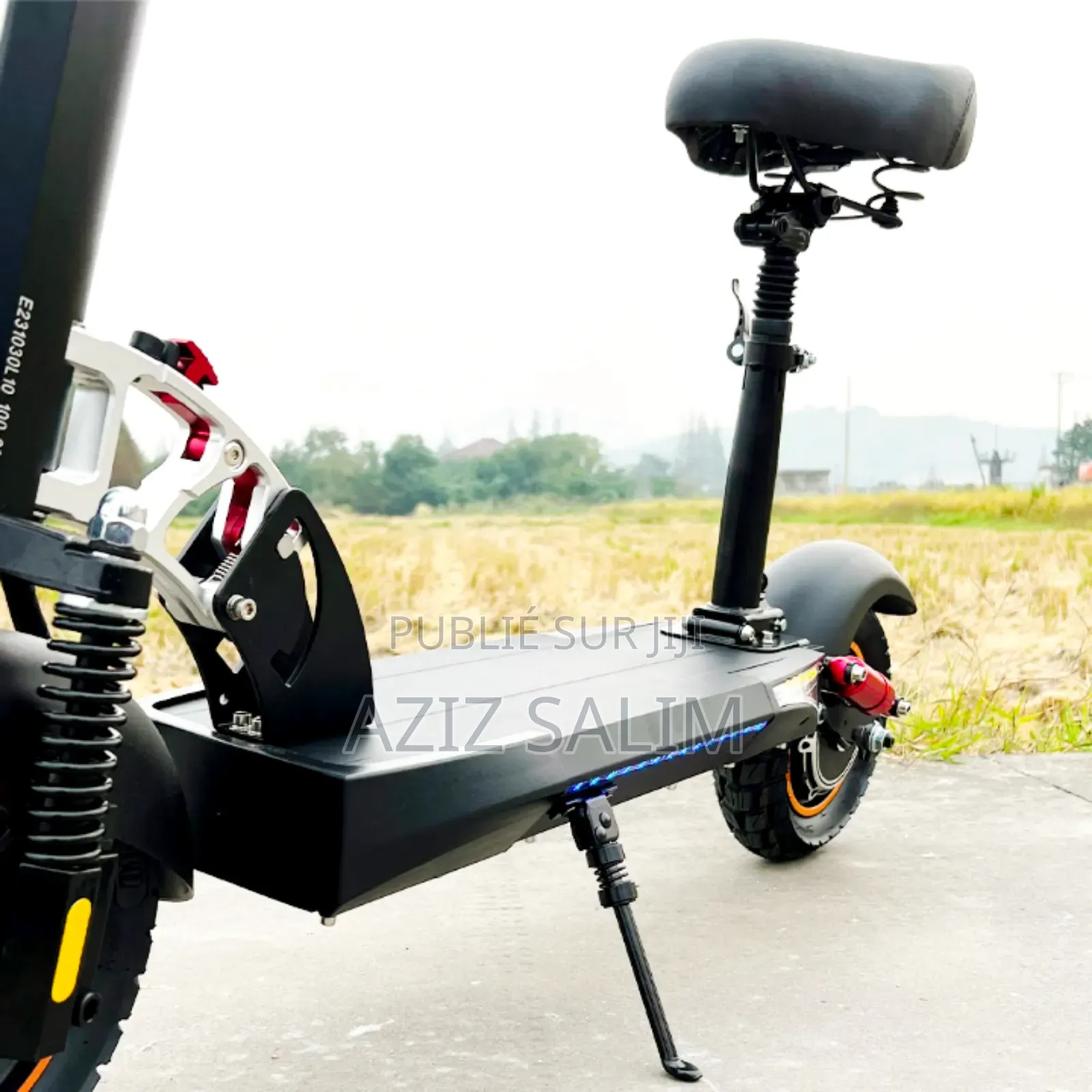 Trottinette Electrique E-Mat Go