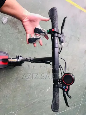 Trottinette Electrique Roadmax Ii