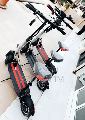 Trottinette Electrique Roadmax Ii