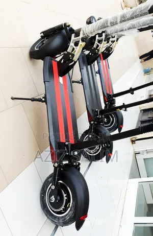 Trottinette Electrique Roadmax Ii