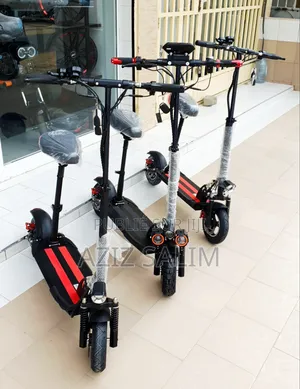 Trottinette Electrique Roadmax Ii