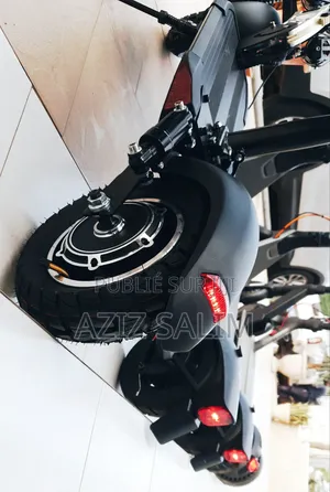 Trottinette Electrique Max Gt