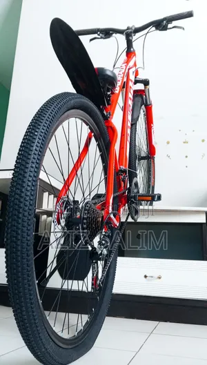 Vtt Mtb 29" Tout Terrain