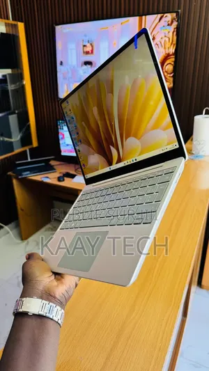 Ordinateur Portable Microsoft Surface Go 2 8GB Intel Core I5 SSD 256GB