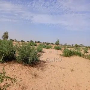 Photo - Terrain De 3,71 Hectares Vers Sagatta