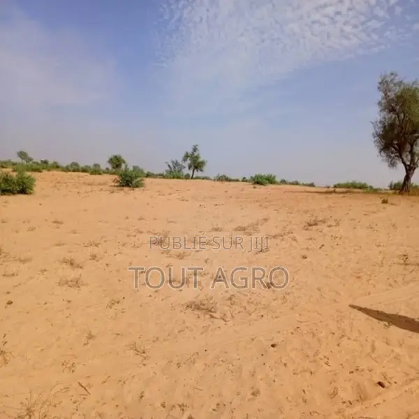 Terrain De 3,71 Hectares Vers Sagatta