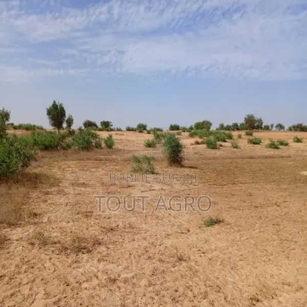 Terrain De 3,71 Hectares Vers Sagatta
