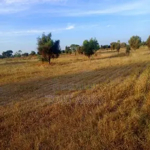 Photo - Terrain De 4,01 Hectares Vers Thiolom Fall