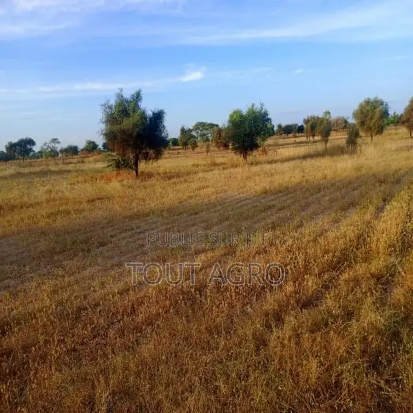 Terrain De 4,01 Hectares Vers Thiolom Fall