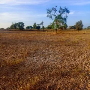 Terrain De 4,01 Hectares Vers Thiolom Fall