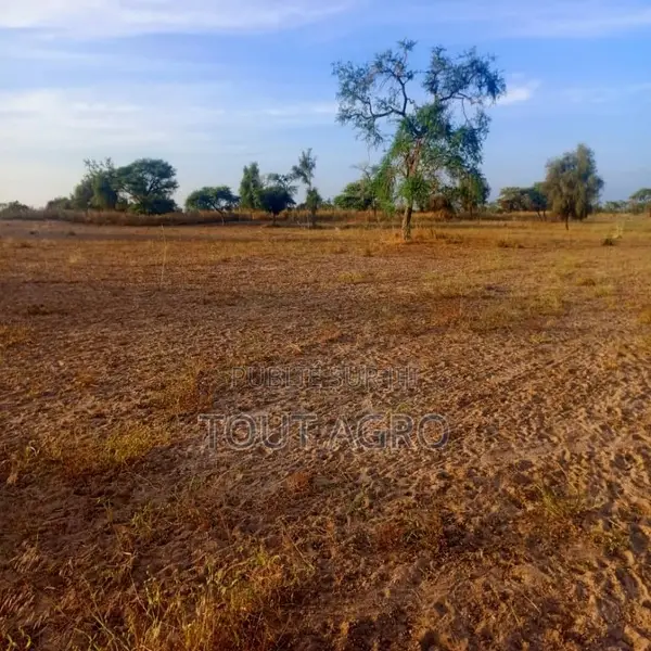 Terrain De 4,01 Hectares Vers Thiolom Fall