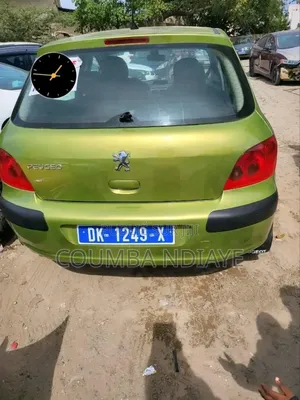 Peugeot 307 2007 Vert