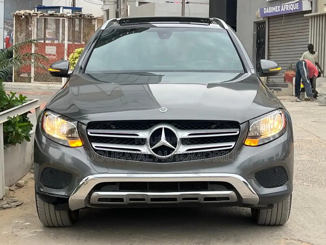 Mercedes-Benz GLC-Class 2018 Gris