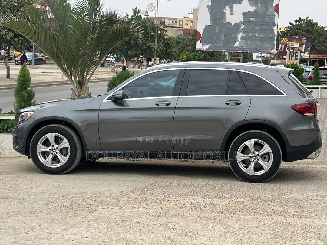 Mercedes-Benz GLC-Class 2018 Gris