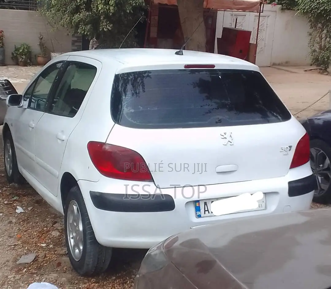 Peugeot 307 2008 Blanc