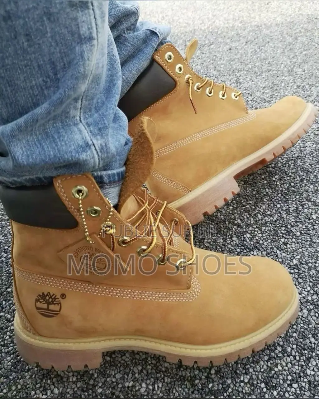 Chaussures Timberland